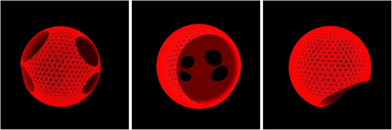 Idealized Left Atrium